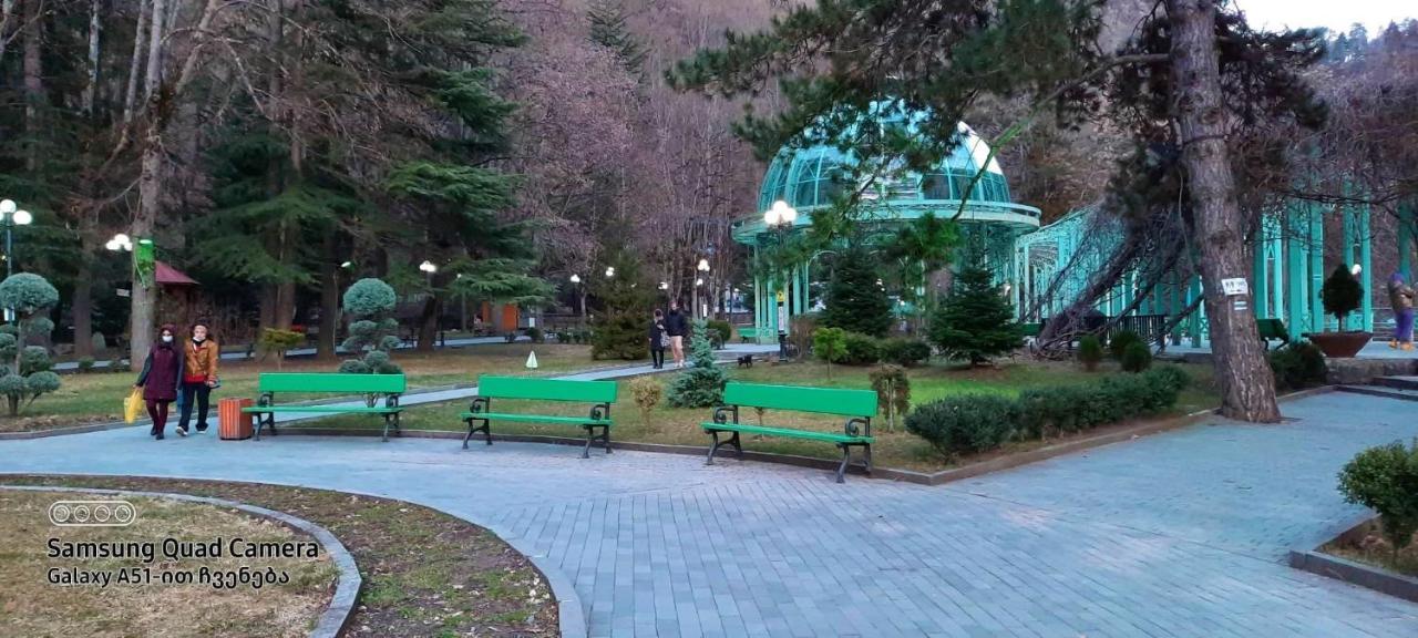 Апарт-отель Нино Боржоми Экстерьер фото